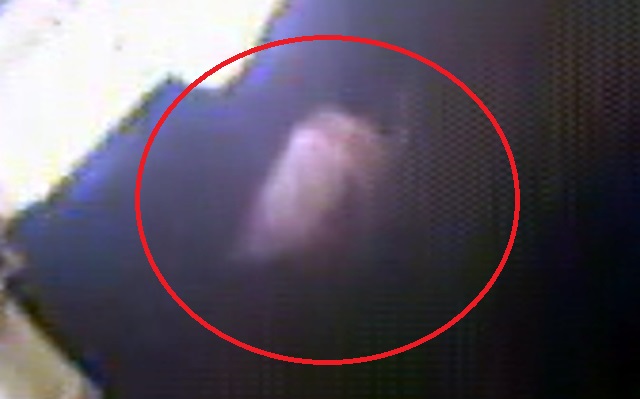 UFO10100.jpg